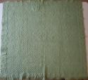 2013-6 RIB green wholecloth